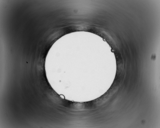 X0000103450325200810241151