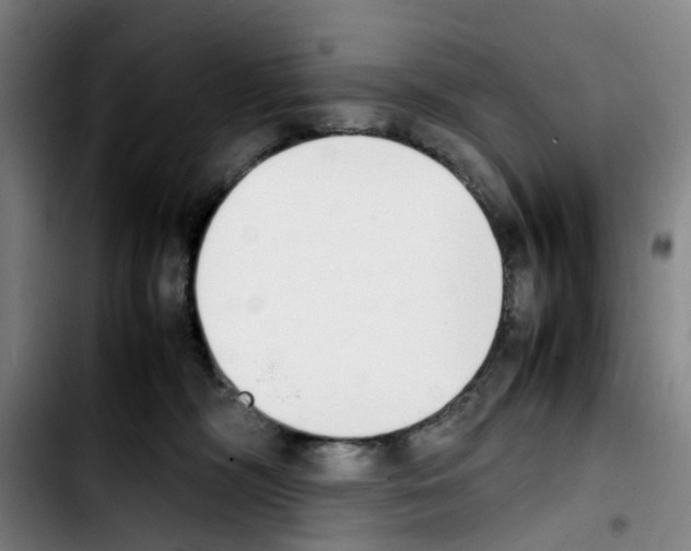 X0000103450326200810241151