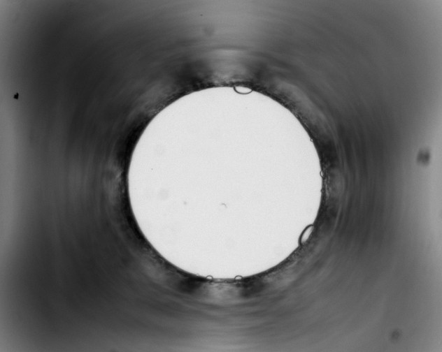 X0000103450327200810241151