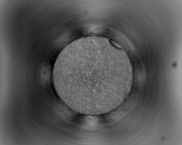 X0000103450328200810241151