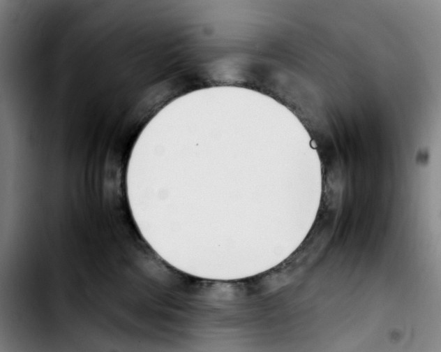 X0000103450330200810241151