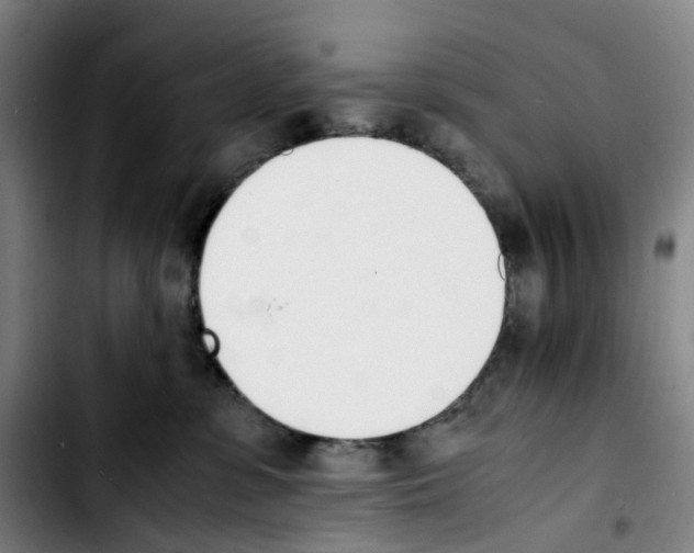 X0000103450331200810241151