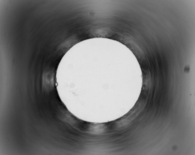 X0000103450334200810241151