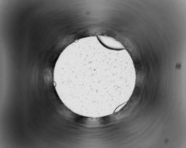 X0000103450335200810241151