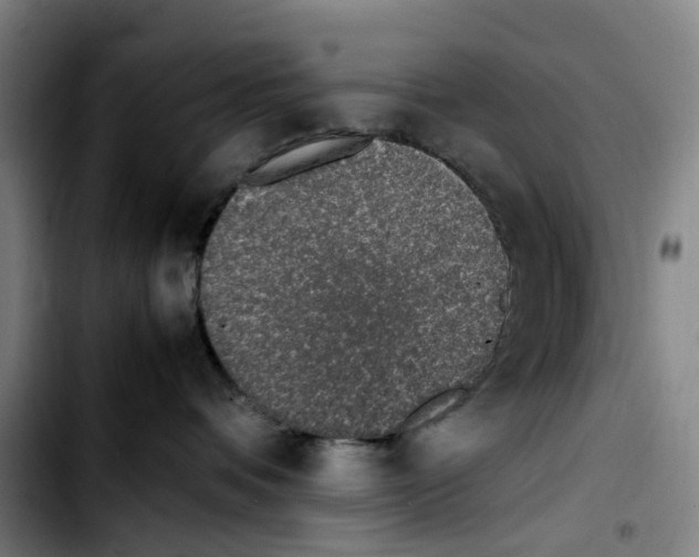 X0000103450336200810241151