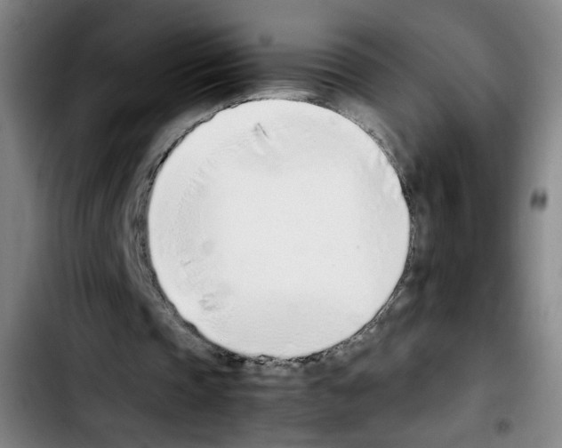 X0000103450337200810241150