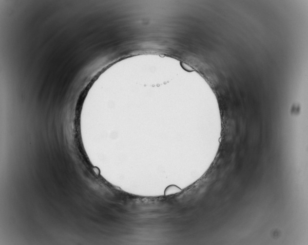 X0000103450338200810241150