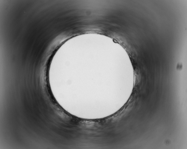 X0000103450339200810241150