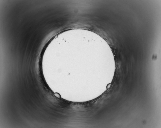 X0000103450340200810241150