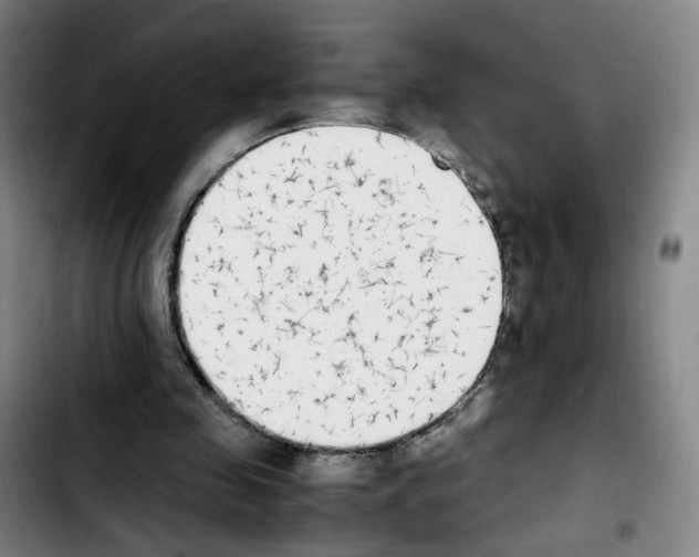 X0000103450341200810241150