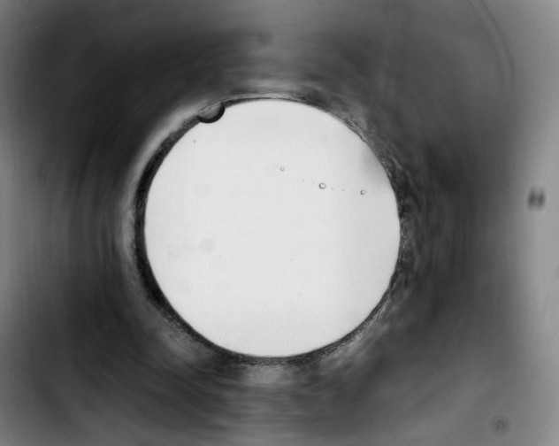 X0000103450342200810241150