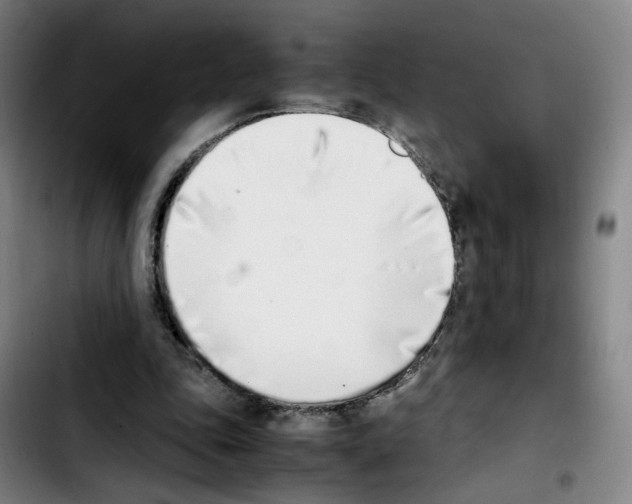 X0000103450343200810241150