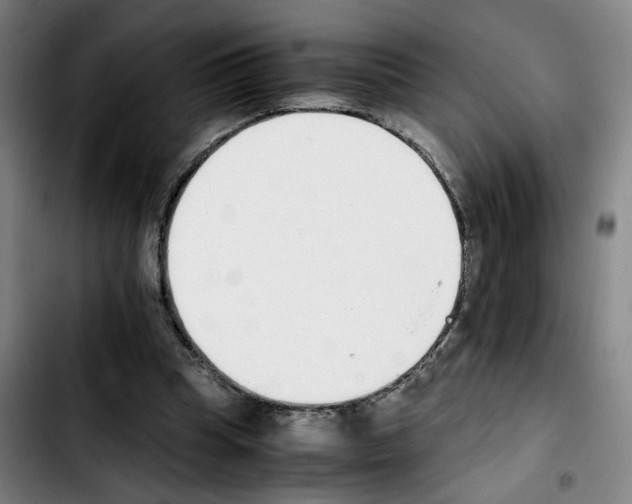 X0000103450345200810241150