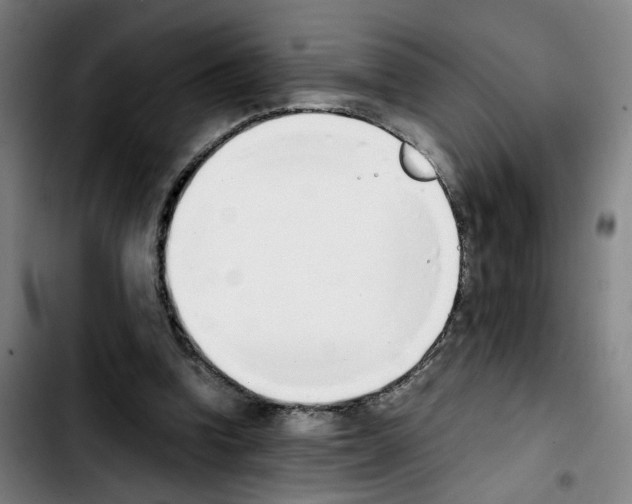 X0000103450346200810241150