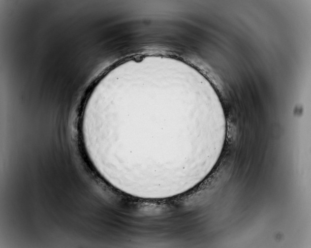 X0000103450347200810241150