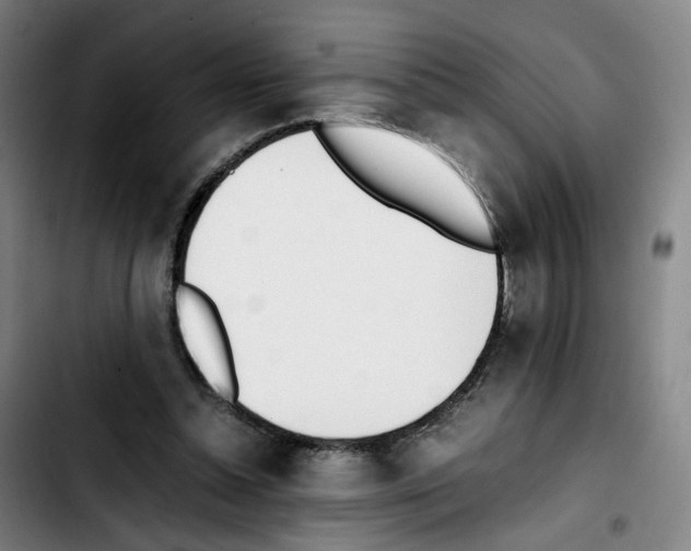 X0000103450348200810241150