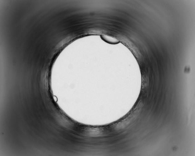 X0000103450349200810241150