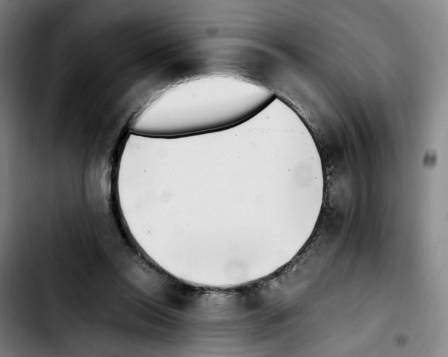 X0000103450350200810241150