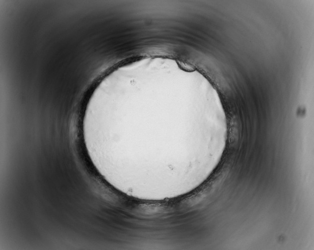 X0000103450351200810241150