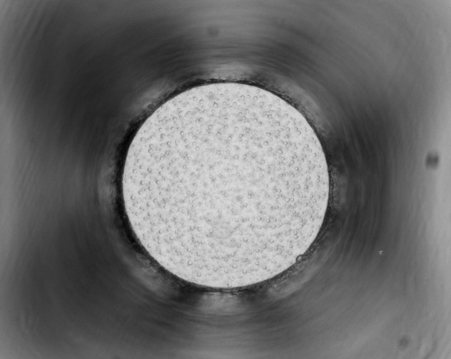 X0000103450354200810241150