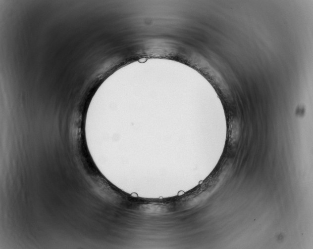 X0000103450356200810241150