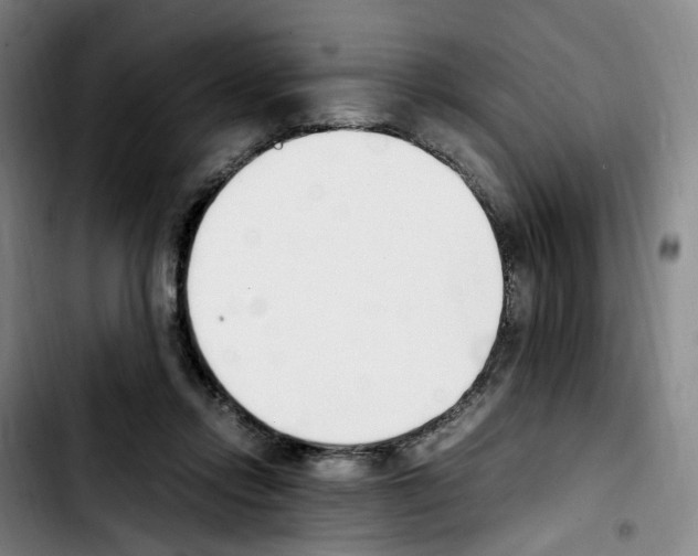 X0000103450358200810241150