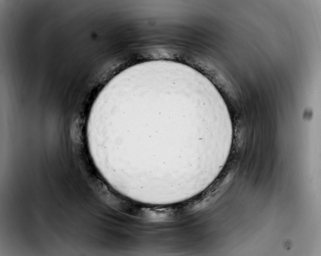 X0000103450359200810241150