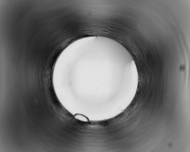 X0000103450360200810241150