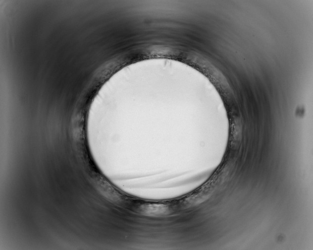 X0000103450361200810241150