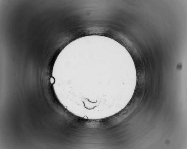 X0000103450362200810241151