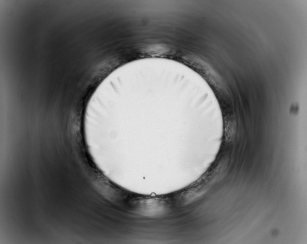 X0000103450365200810241151