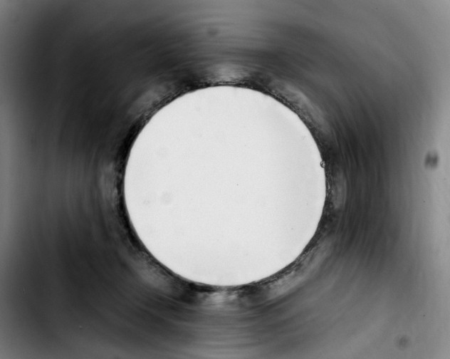 X0000103450366200810241151