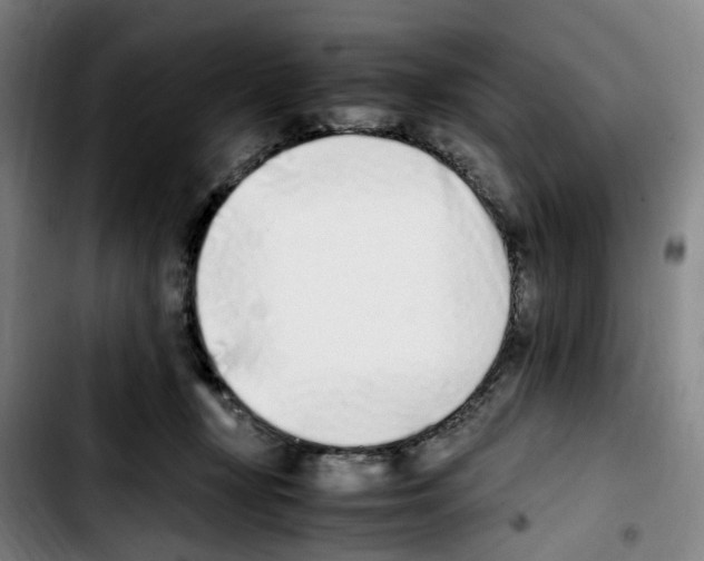 X0000103450367200810241151