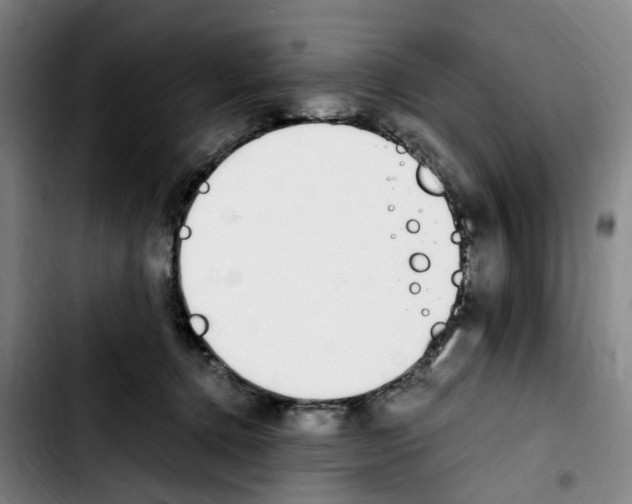 X0000103450368200810241151