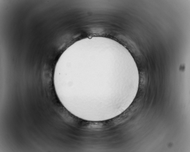 X0000103450369200810241151