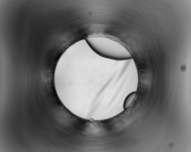 X0000103450372200810241151