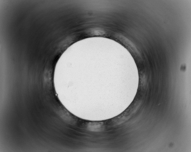 X0000103450373200810241151