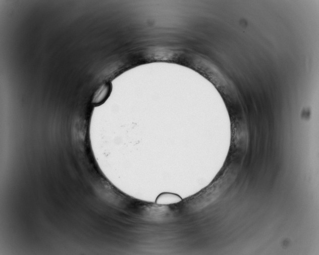 X0000103450374200810241151