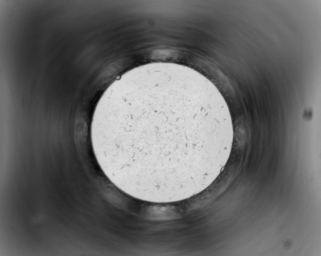 X0000103450375200810241151