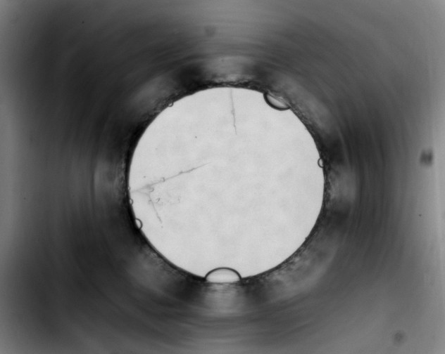 X0000103450376200810241151