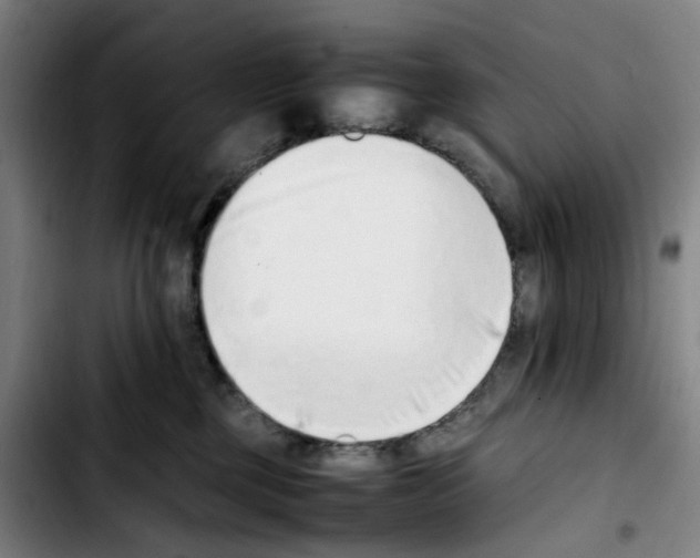 X0000103450377200810241151