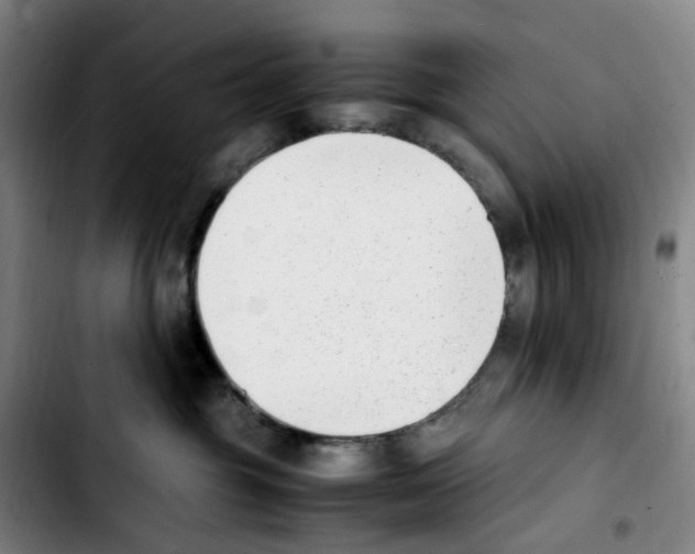 X0000103450381200810241151