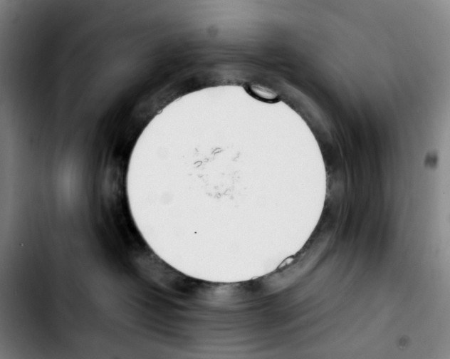 X0000103450382200810241151