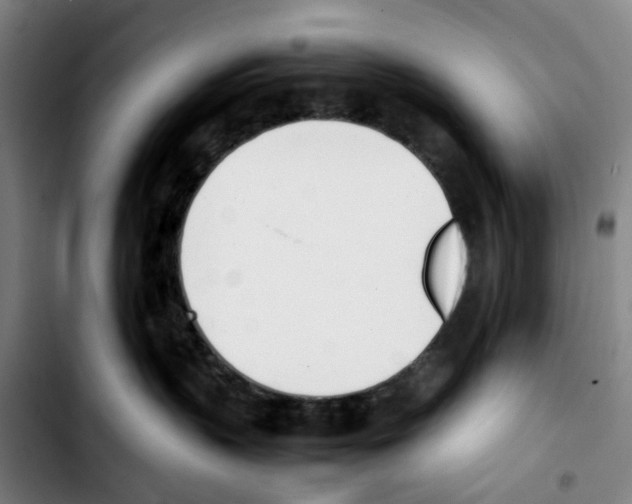 X0000103450383200810241151