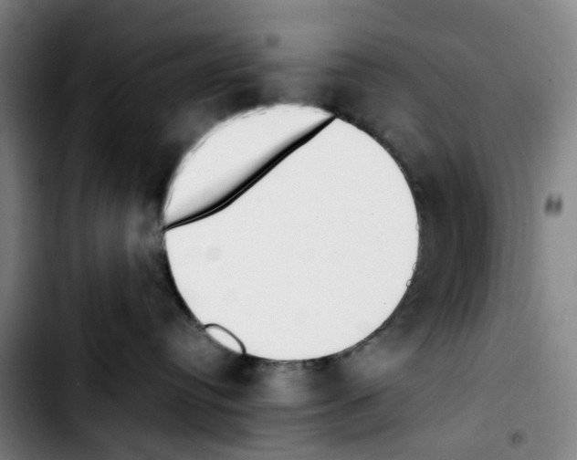 X0000103450384200810241151