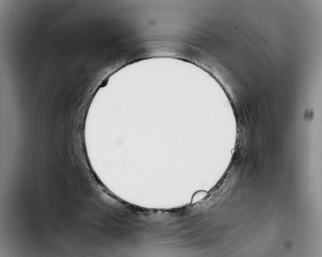 X0000103450385200810241150