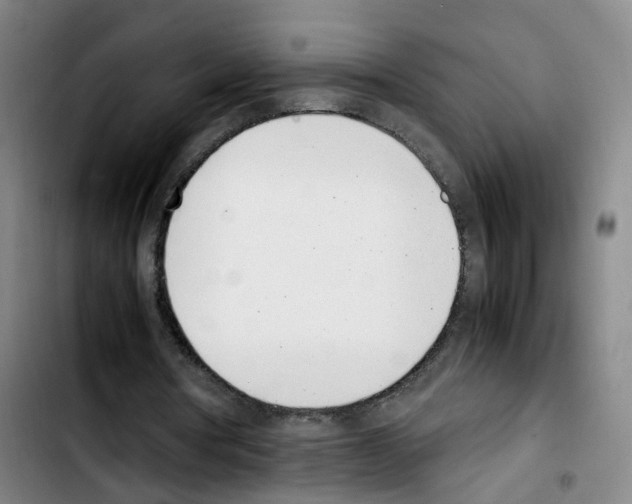 X0000103450386200810241150