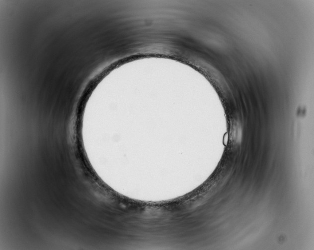 X0000103450388200810241150