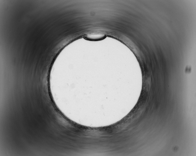 X0000103450389200810241150