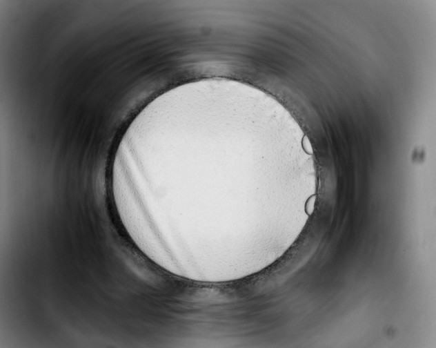 X0000103450390200810241150